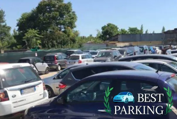 PARKING CARS