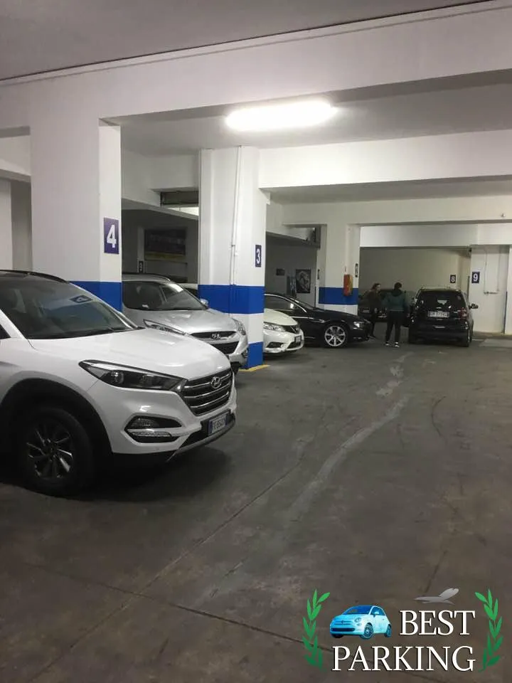 MOTORG