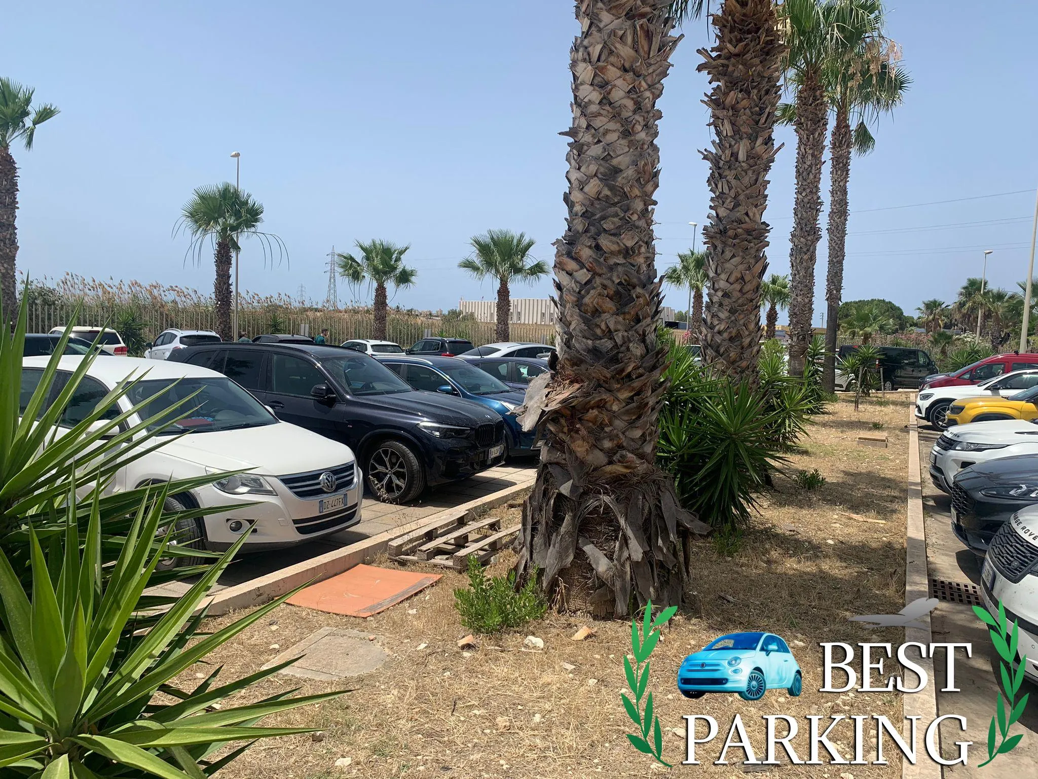 ROBINSON PARKING